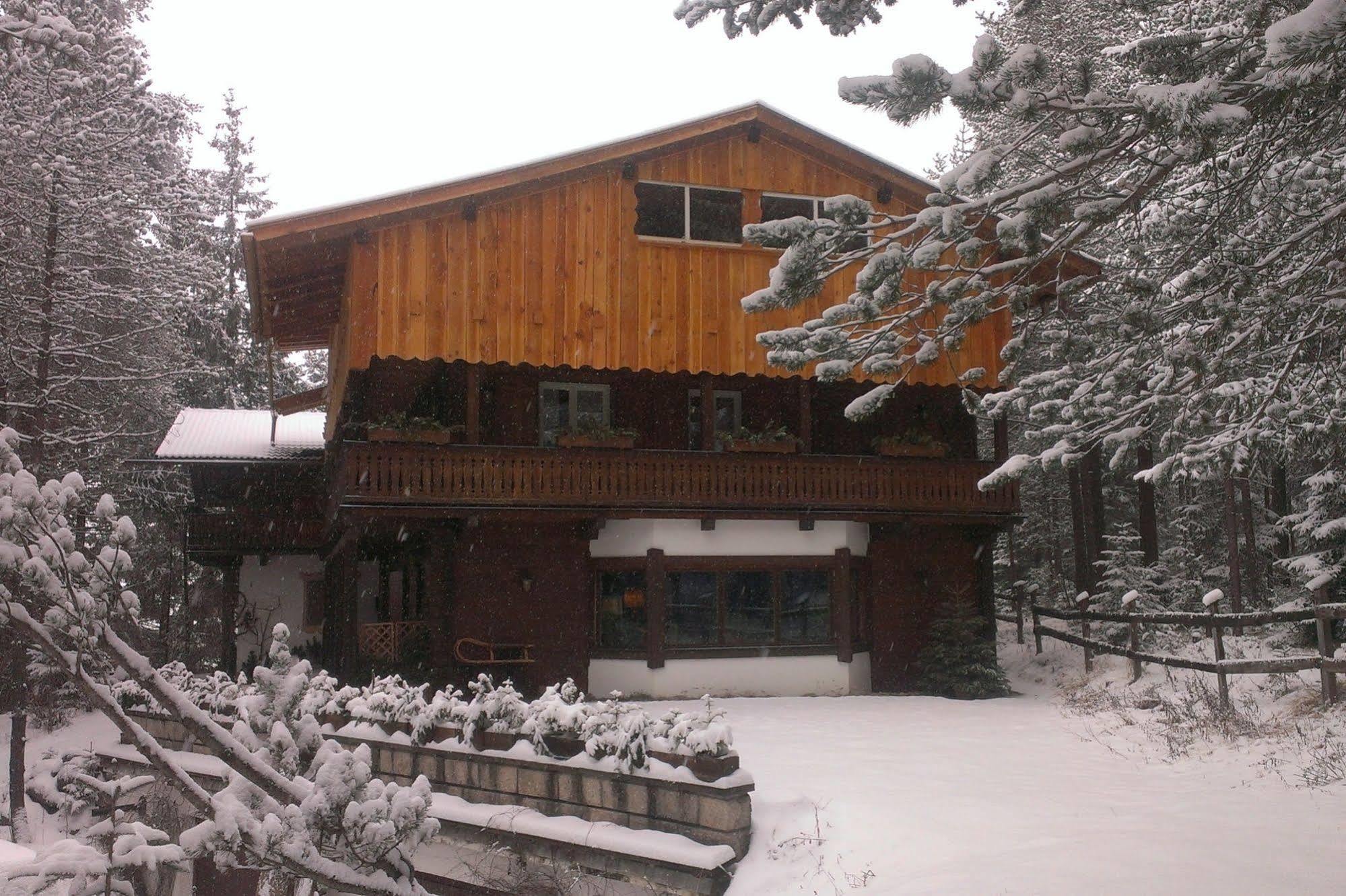 B&B Villa Dolomites Hut Сан-Виджилио-ди-Мареббе Экстерьер фото